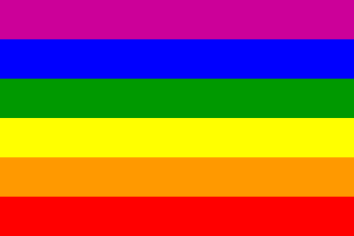 Homo Flagge